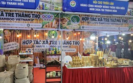 Trịnh Đình Toàn và hành trình đưa sản phẩm tre, nứa Việt vươn tầm quốc tế