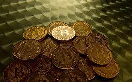 Giá Bitcoin hôm nay 29/10: Cá voi đồng loạt mở vị thế bán khống