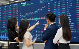 Lợi nhuận các CTCK quý III/2026 giảm kỷ lục 42%
