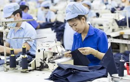 Thị trường việc làm 9 tháng tiếp tục phục hồi