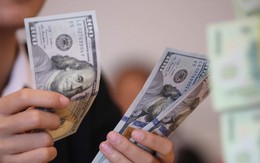 Tỷ giá USD hôm nay 30/10: Tỷ giá trung tâm giảm 7 đồng