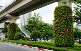 Hà Nội: Thí điểm phủ cây xanh trụ cầu, hầm chui, nhà chờ xe buýt