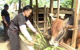Thanh Hóa: Đổi thay diện mạo vùng khó khăn nhờ giảm nghèo bền vững