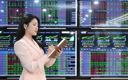 6 'họ' cổ phiếu chiếm gần 31% giá trị vốn hóa toàn thị trường