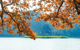 Hà Nội ghi dấu ấn mạnh mẽ khi giành 4 giải thưởng hàng đầu về du lịch của Tripadvisor