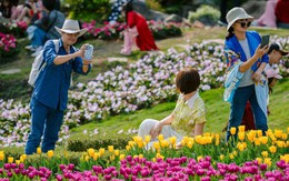 Hối hả trên “chín tầng mây”: Núi Bà Đen đếm ngược ngày khai Hội xuân