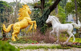 Khoảng lặng xanh đặc biệt ở công viên số 1 Lý Thái Tổ và nỗ lực giữ từng gốc cây cho thành phố