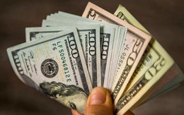 MBS dự báo tỷ giá USD/ VNĐ năm 2026 sẽ ổn định hơn