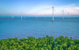 Cà Mau điều chỉnh Quy hoạch tỉnh tầm nhìn đến năm 2050