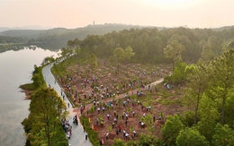 TP Huế: “Tết trồng cây đời đời nhớ ơn Bác Hồ” -  tạo nền tảng tăng trưởng xanh, phát triển bền vững