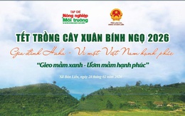 Xã Bản Liền rộn ràng “gieo mầm xanh” trong ngày hội Tết trồng cây Xuân Bính Ngọ 2026