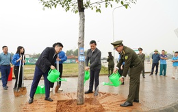 Cho mùa xuân thêm xanh mãi
