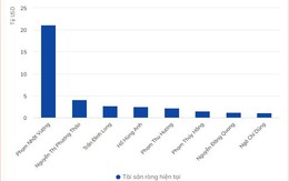 Việt Nam vừa có thêm 3 tỷ phú USD