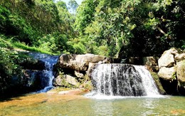 Suối Mỡ - nơi dòng nước mát chảy qua ký ức rừng thiêng Bắc Ninh