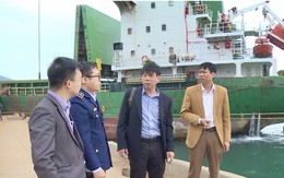 Thanh Hóa: Chủ động tăng cường phòng, chống dịch bệnh do virus Nipah