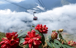 "Cú hích" từ Fansipan và hành trình Sa Pa trở thành điểm tăng trưởng nhanh nhất Châu Á