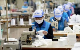 Việt Nam chi 5,73 tỷ USD mua bông, xơ, sợi trong năm 2025