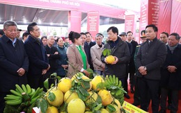 Bí thư Thành ủy Hà Nội Nguyễn Duy Ngọc chúc Tết xã đảo Minh Châu