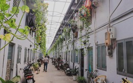 Lượt tìm kiếm phòng trọ tại TP.HCM tăng vọt 130%