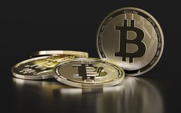 Giá Bitcoin hôm nay 11/3: Đồng Bitcoin thứ 20 triệu đã được khai thác