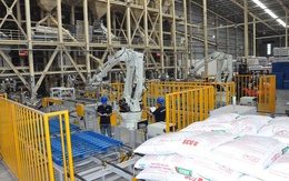 Cục Chăn nuôi và Thú y đưa ra hai kịch bản về giá thức ăn chăn nuôi ở Việt Nam