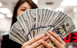 Tỷ giá USD hôm nay 12/3: Tỷ giá trung tâm tăng 2 đồng