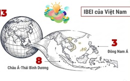 Việt Nam xếp thứ 8 châu Á về môi trường thuận lợi cho đổi mới sáng tạo