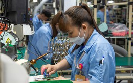 Một số doanh nghiệp trong KCX, KCN tại TP. HCM điều chỉnh kế hoạch sản xuất