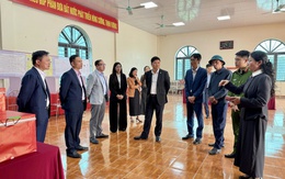 Hải Phòng: Số hóa “tiếp sức” ngày hội toàn dân