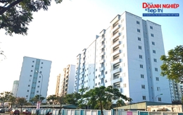 Đà Nẵng: Ra mắt chuyên mục Hướng dẫn thuê, mua Nhà ở xã hội