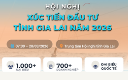 Gia Lai: 700 doanh nghiệp tham gia Hội nghị Xúc tiến đầu tư năm 2026