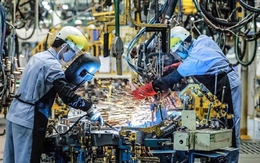 Chỉ số PMI tháng 2 tăng lên mức 54,3 điểm
