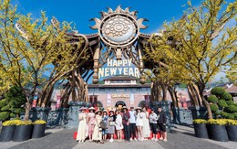 Bật mí bí kíp sở hữu chuyến du ngoạn Đà Nẵng trọn gói sang chảnh với giá “siêu hời”