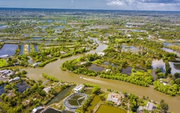 An ninh nguồn nước là thách thức sống còn của ĐBSCL