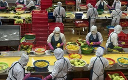 Doanh nghiệp xuất khẩu nông sản linh hoạt giải pháp để giữ thị trường