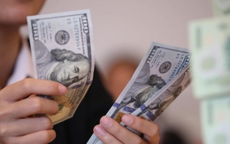 Tỷ giá USD hôm nay 25/3: Tỷ giá trung tâm giảm 5 đồng