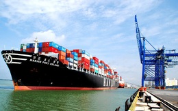 Từ 1/4, giảm tối thiểu 10% giá dịch vụ hoa tiêu hàng hải cho tàu thuyền Việt Nam