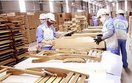 Gỗ dán bị áp thuế chống bán phá giá gần 195%