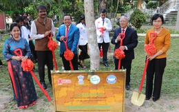 Cần Thơ thắt chặt quan hệ Việt Nam - Ấn Độ từ Lễ trồng cây Hữu Nghị