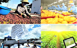 Xuất khẩu nông, lâm, thủy sản đạt 11,3 tỷ USD trong 2 tháng đầu năm