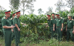 Công ty cà phê 15 nỗ lực kiến tạo nông nghiệp xanh