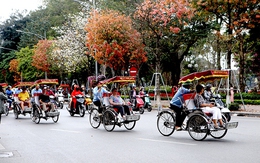 Hà Nội nghiên cứu thí điểm xích lô điện phục vụ khách du lịch