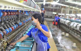 Những điểm nghẽn trong quá trình nội địa hóa của ngành dệt may