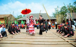 Sa Pa: 8/3 “đổi gió” lên Fansipan, thảnh thơi ngắm nhìn “biển hoa” và “biển mây”