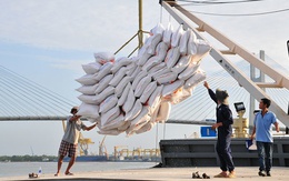 Xuất khẩu gạo tăng 5% về khối lượng nhưng giảm 11,2% về giá trị