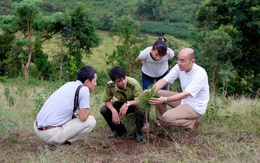 Quỹ Khí hậu Xanh phê duyệt dự án JICA hỗ trợ chi trả 71,96 triệu USD cho Việt Nam
