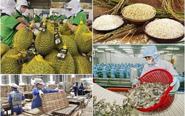 Quý I/2026, xuất khẩu nông lâm thủy sản đạt gần 16,7 tỷ USD