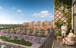 Khám phá căn hộ nằm gần đường lớn, trường học, tiện ích chăm sóc sức khỏe hiện đại tại Sun Urban City