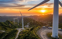 Quảng Ninh: Phê duyệt dự án nhà máy điện gió 200 MW, thúc đẩy chuyển dịch năng lượng xanh