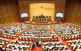 Quốc hội thông qua giảm thuế xăng dầu về 0 đến hết tháng 6/2026